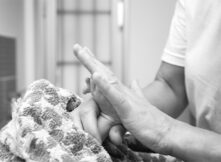 Réflexologie - Services pour les femmes enceintes - Mes Premiers Jours